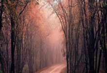 ued体育:队报:哈兰德续约后周薪达万镑,月薪万欧.