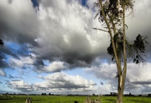 追光 | 运动场上,“她们”光彩夺目.